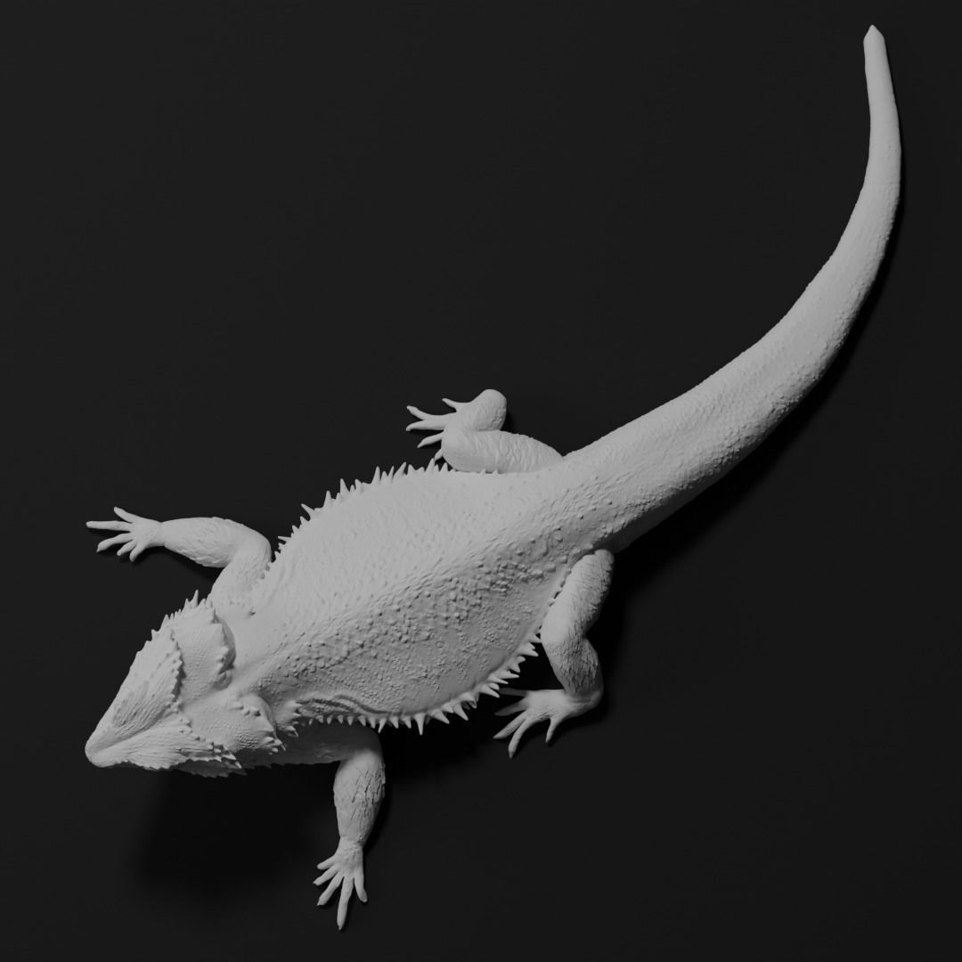 Bearded Dragon Realistic Lizard 3d print model 3D print model_6