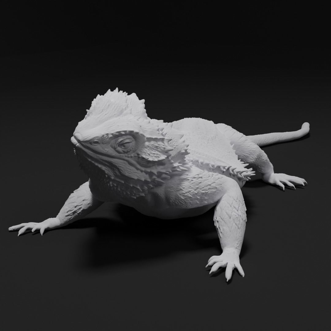 Bearded Dragon Realistic Lizard 3d print model 3D print model_4