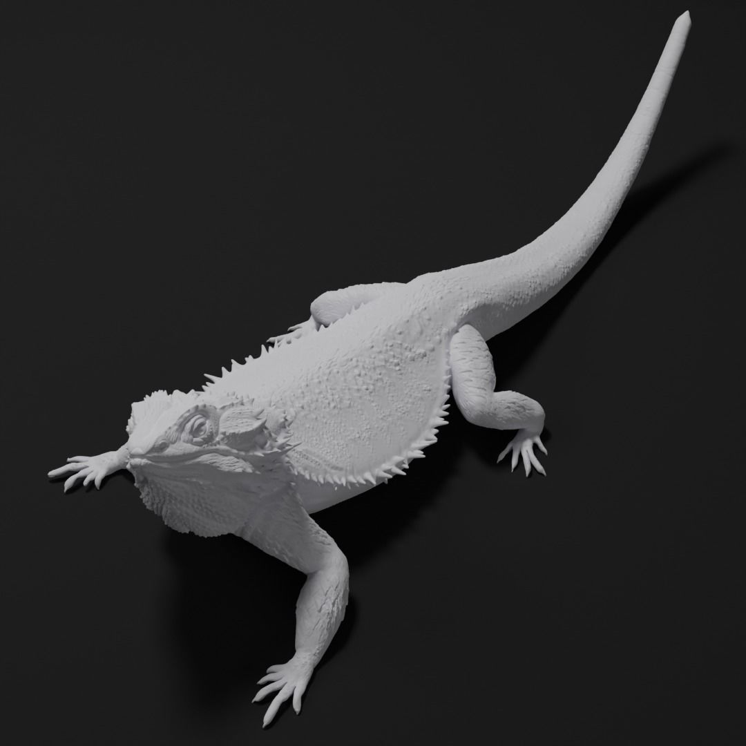 Bearded Dragon Realistic Lizard 3d print model 3D print model_2