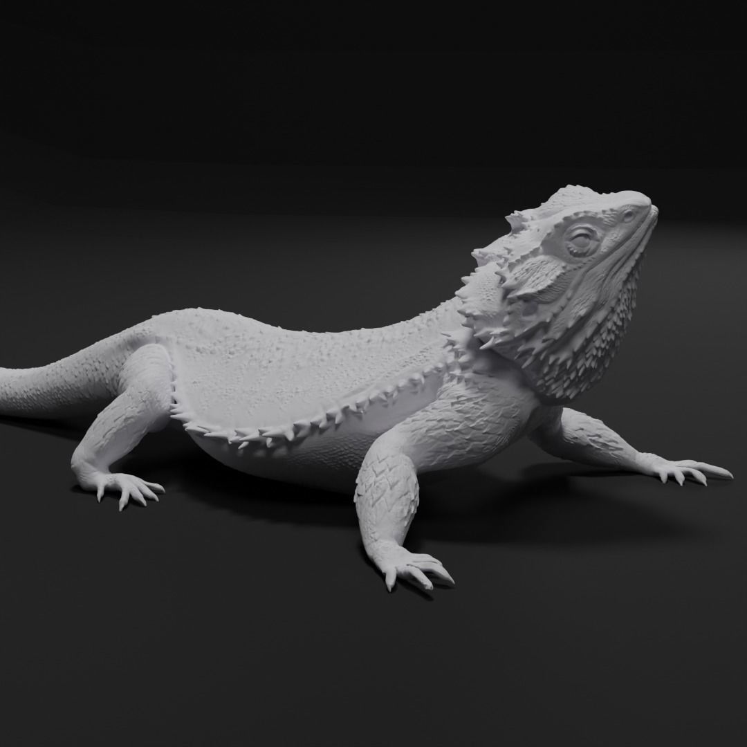 Bearded Dragon Realistic Lizard 3d print model 3D print model_1