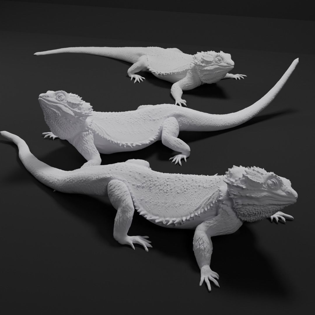 Bearded Dragon Realistic Lizard 3d print model 3D print model_7