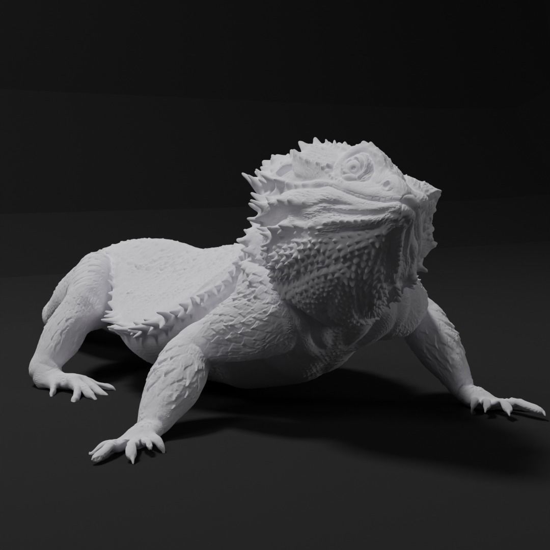 Bearded Dragon Realistic Lizard 3d print model 3D print model_3
