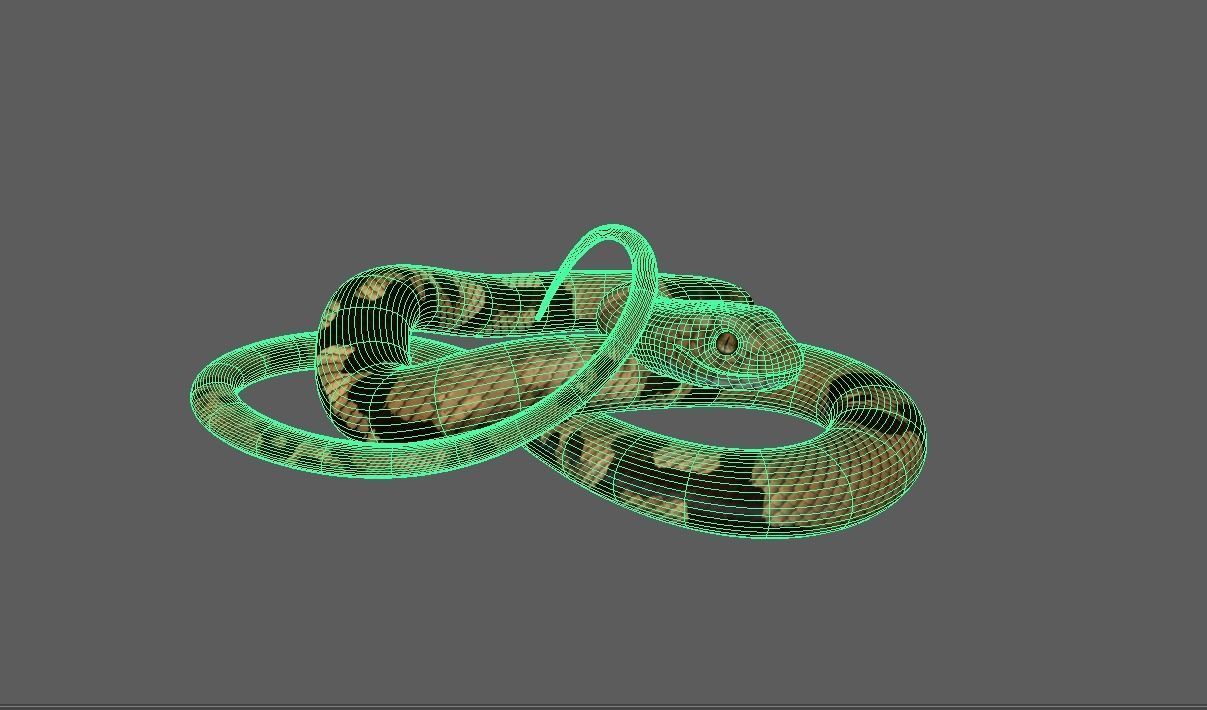 Snake -  Brown 3D model_5