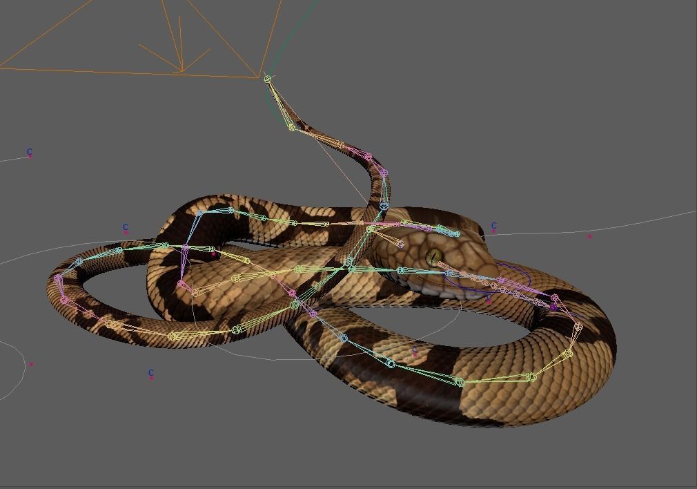 Snake -  Brown 3D model_3