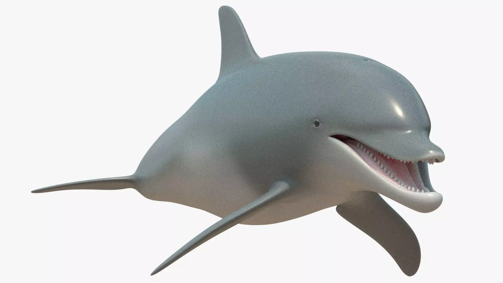 4K Textures Dolphin Low-poly 3D model_0