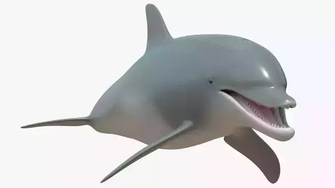4K Textures Dolphin Low-poly 3D model