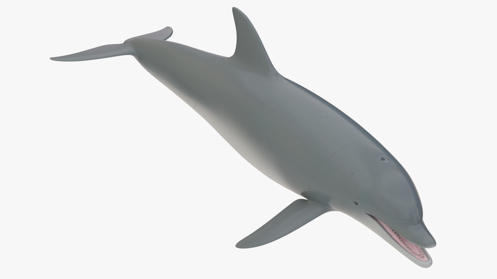 4K Textures Dolphin Low-poly 3D model_3