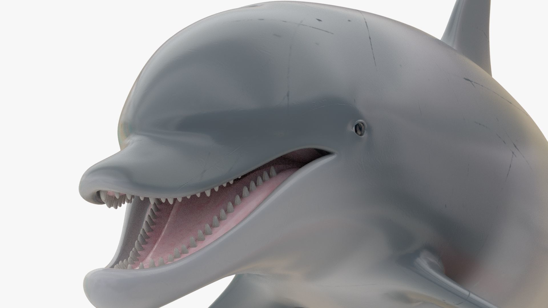 4K Textures Dolphin Low-poly 3D model_2