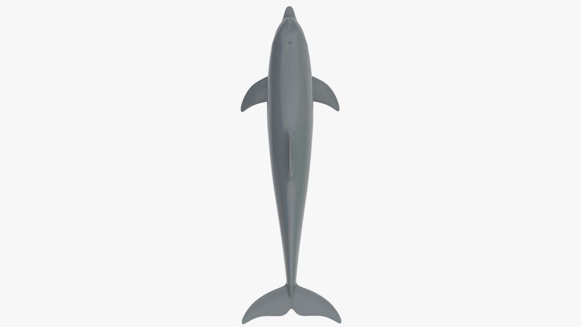4K Textures Dolphin Low-poly 3D model_7