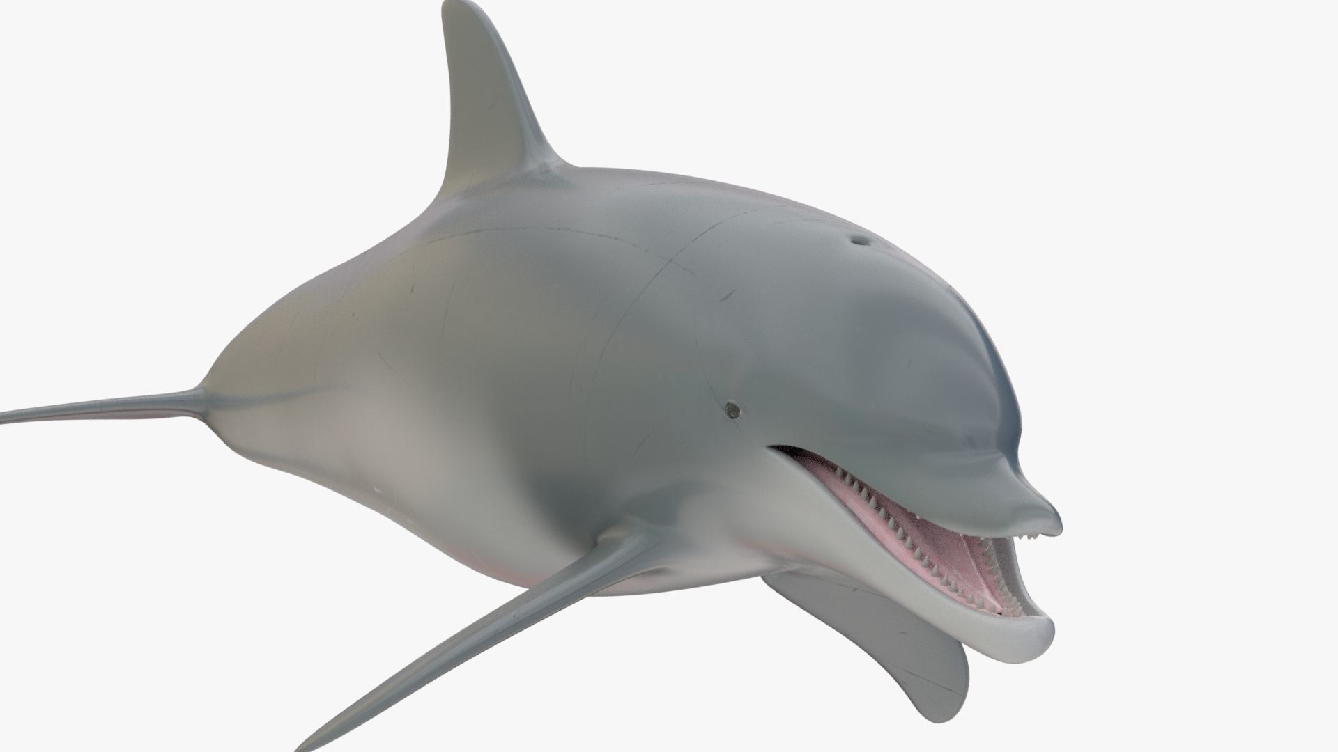 4K Textures Dolphin Low-poly 3D model_11