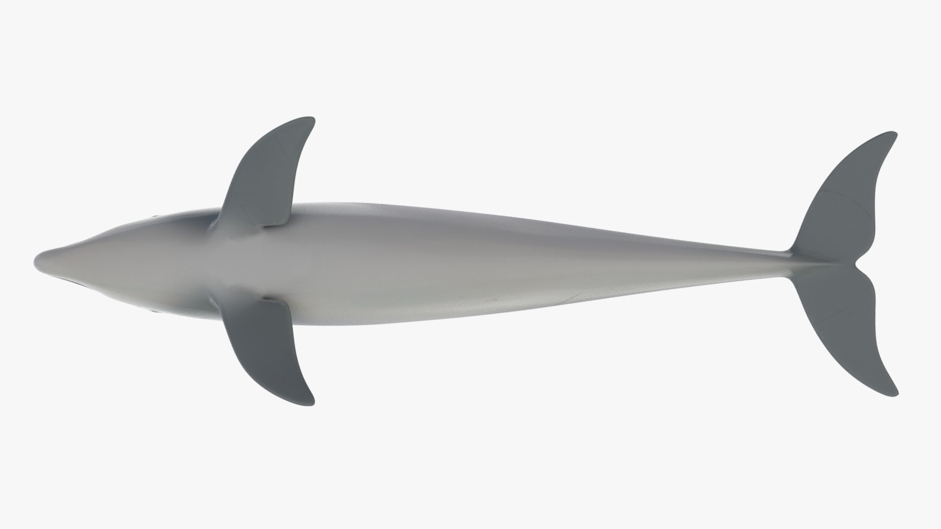 4K Textures Dolphin Low-poly 3D model_8