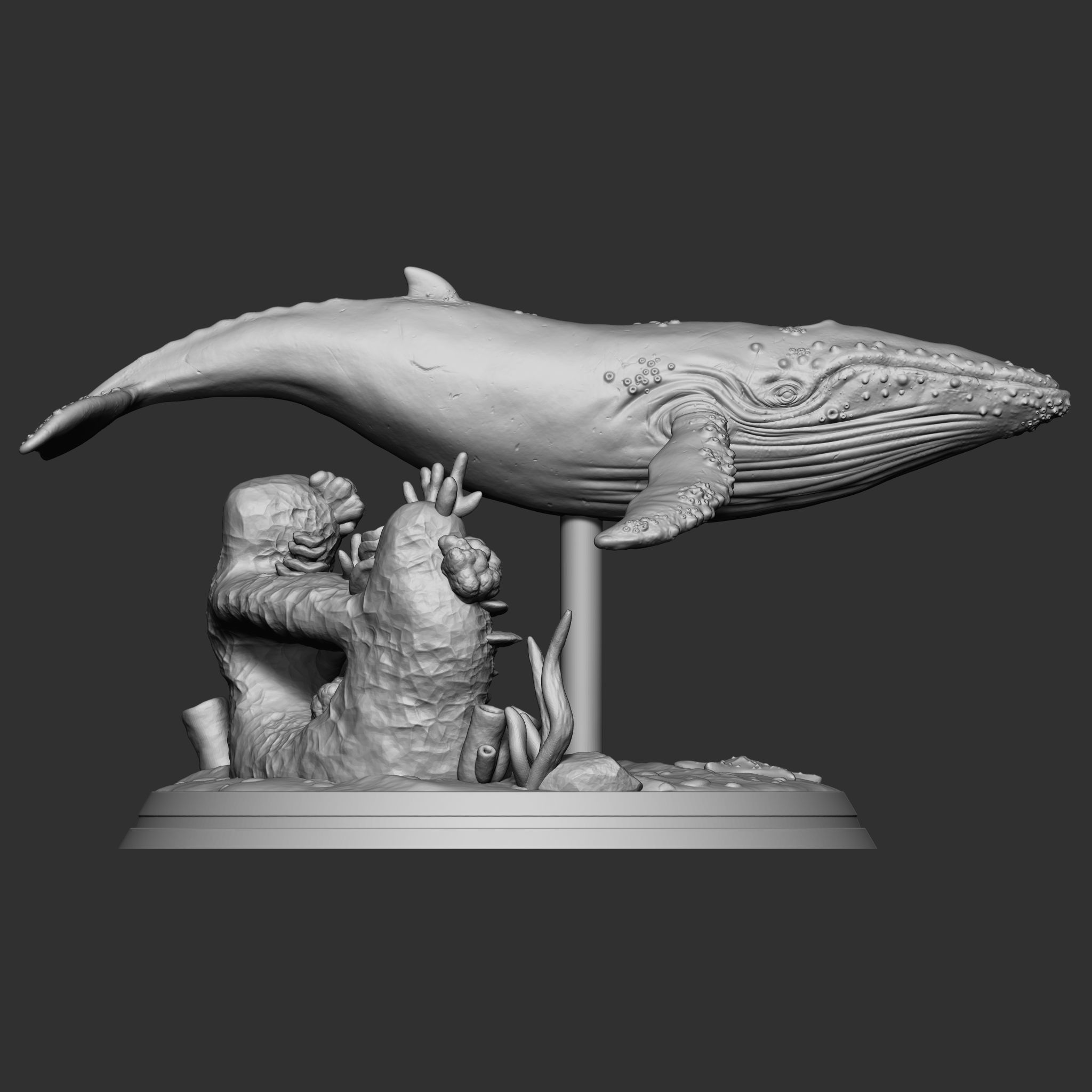 WHALE 3D print model_4