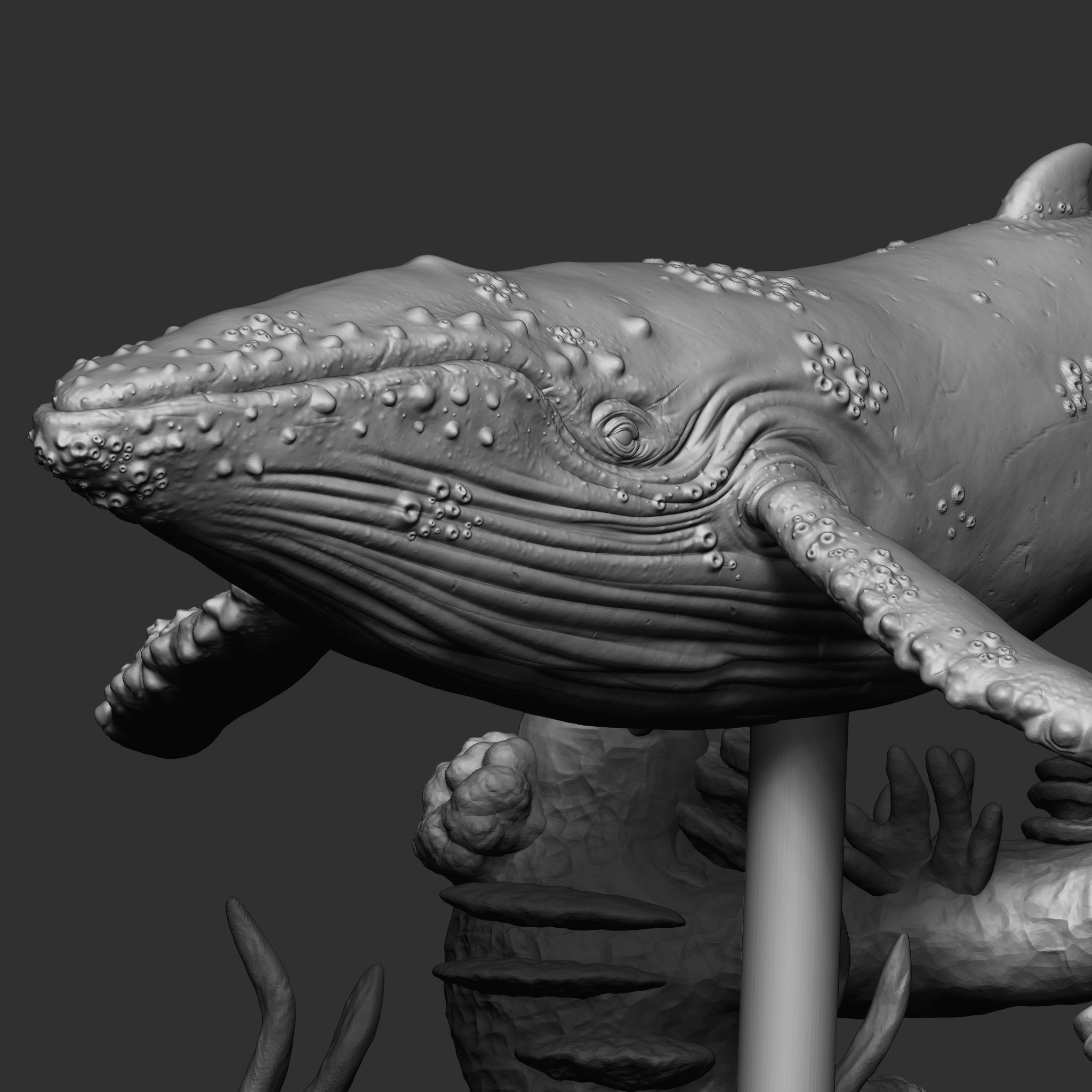WHALE 3D print model_7