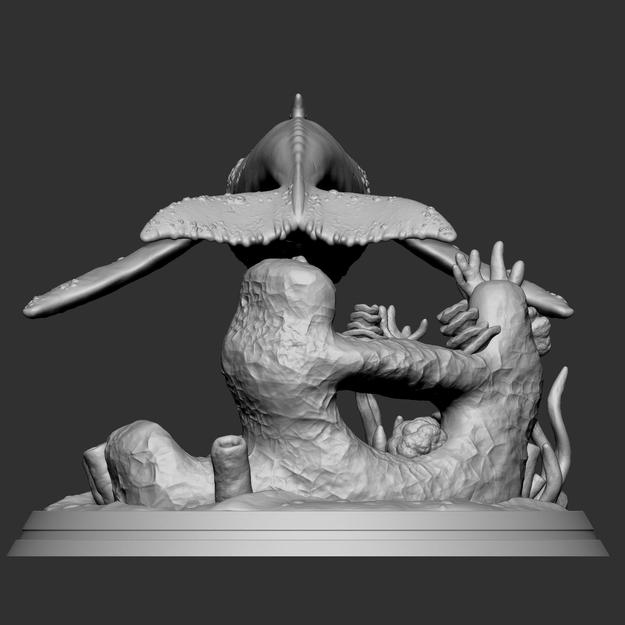 WHALE 3D print model_5