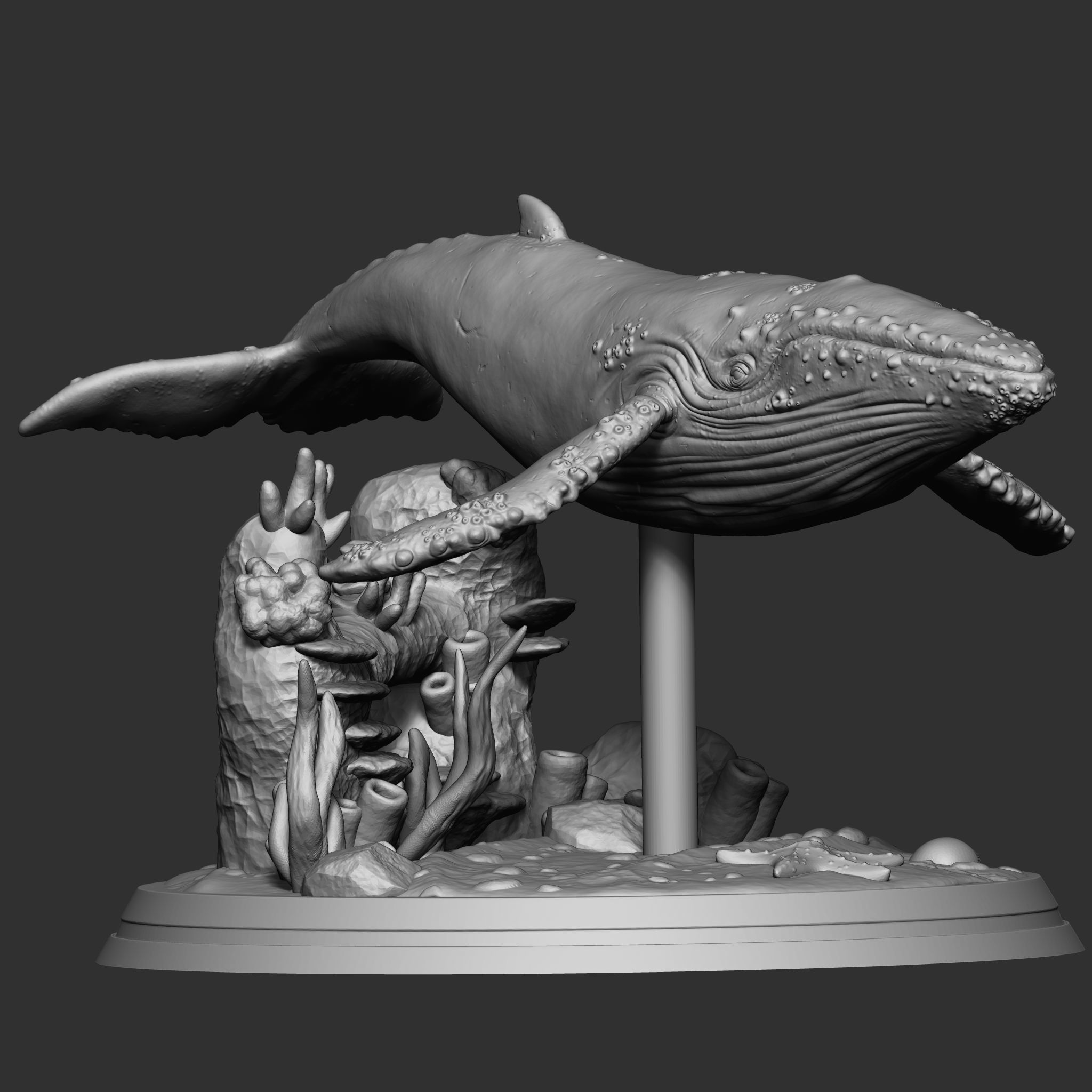 WHALE 3D print model_3