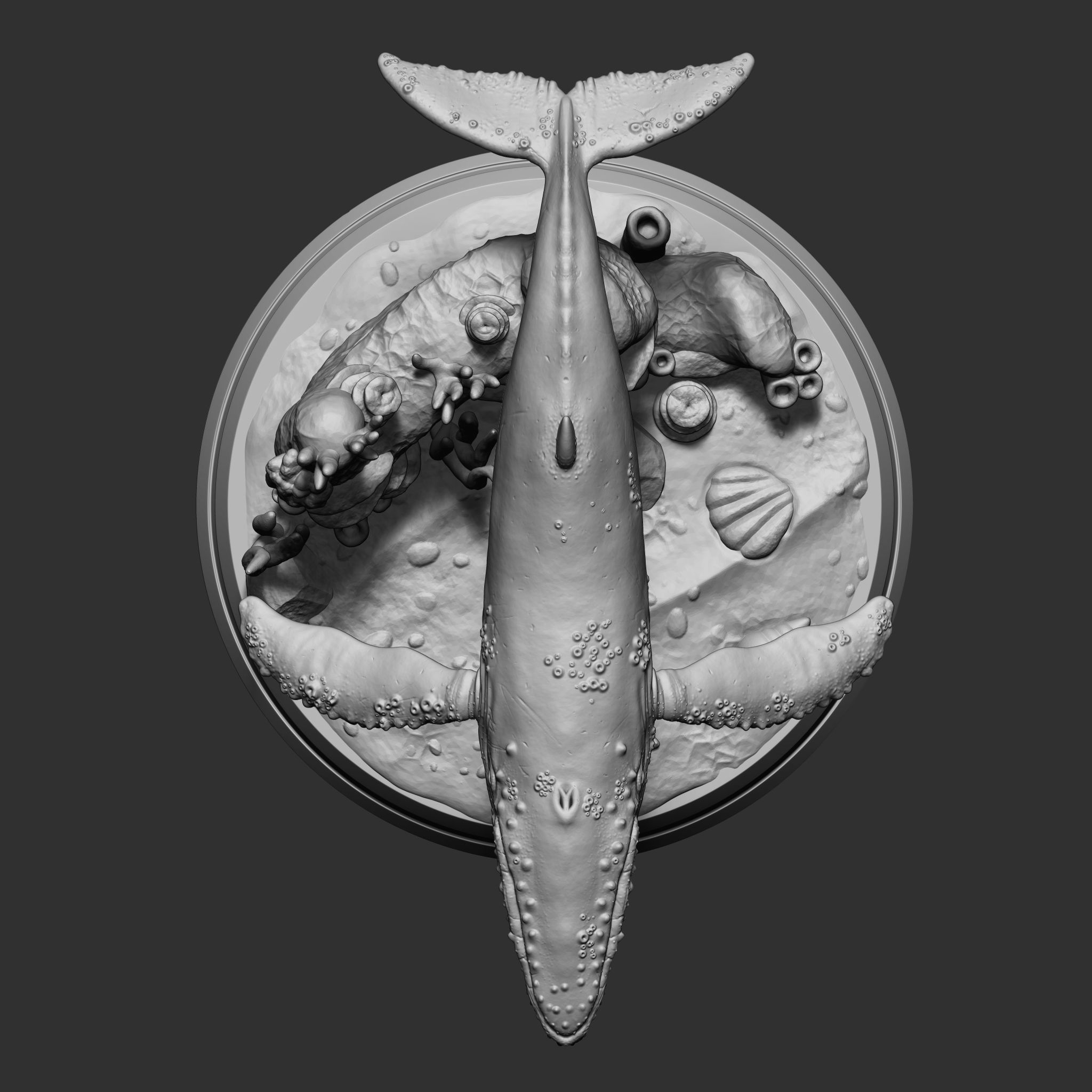 WHALE 3D print model_9