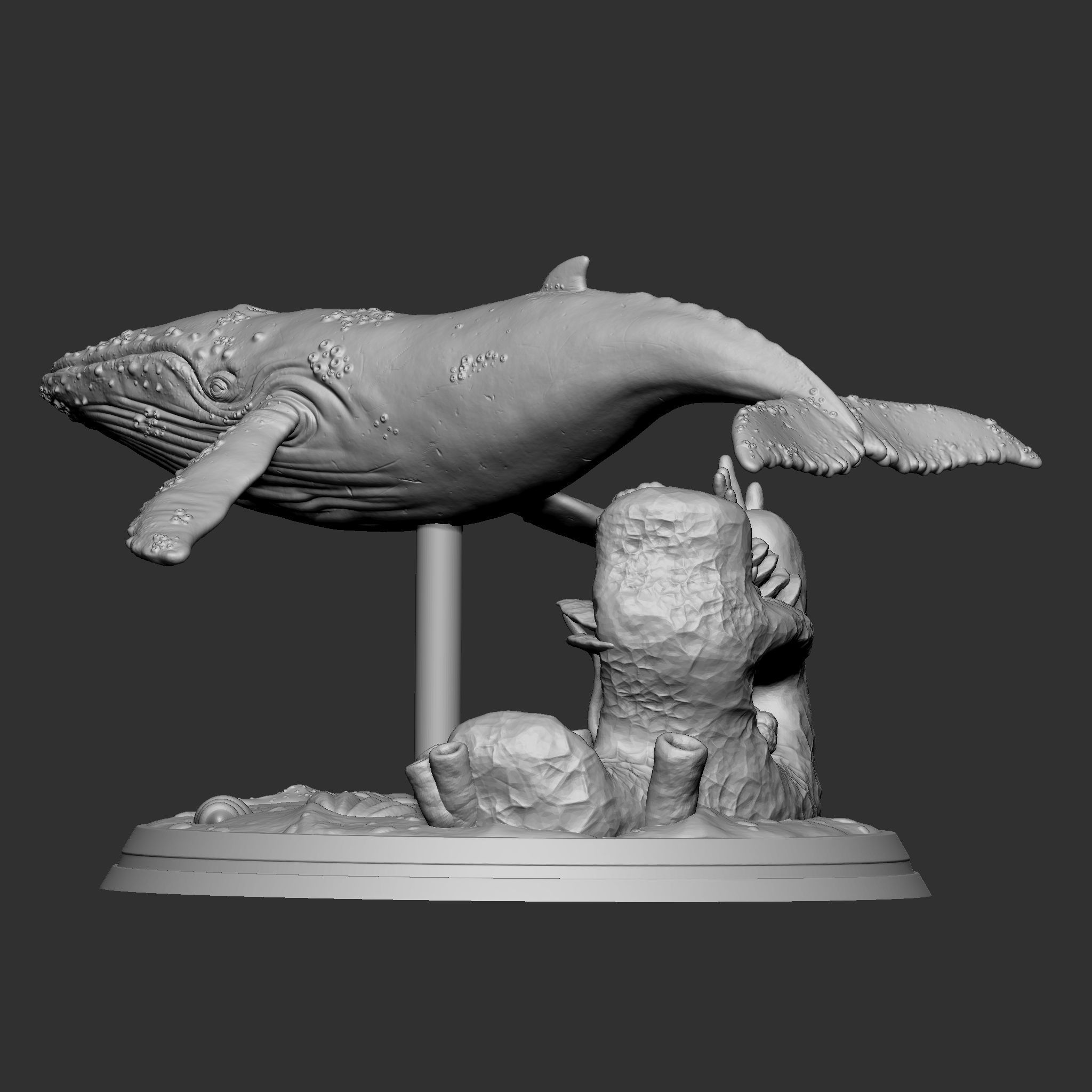 WHALE 3D print model_6