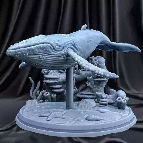 WHALE 3D print model