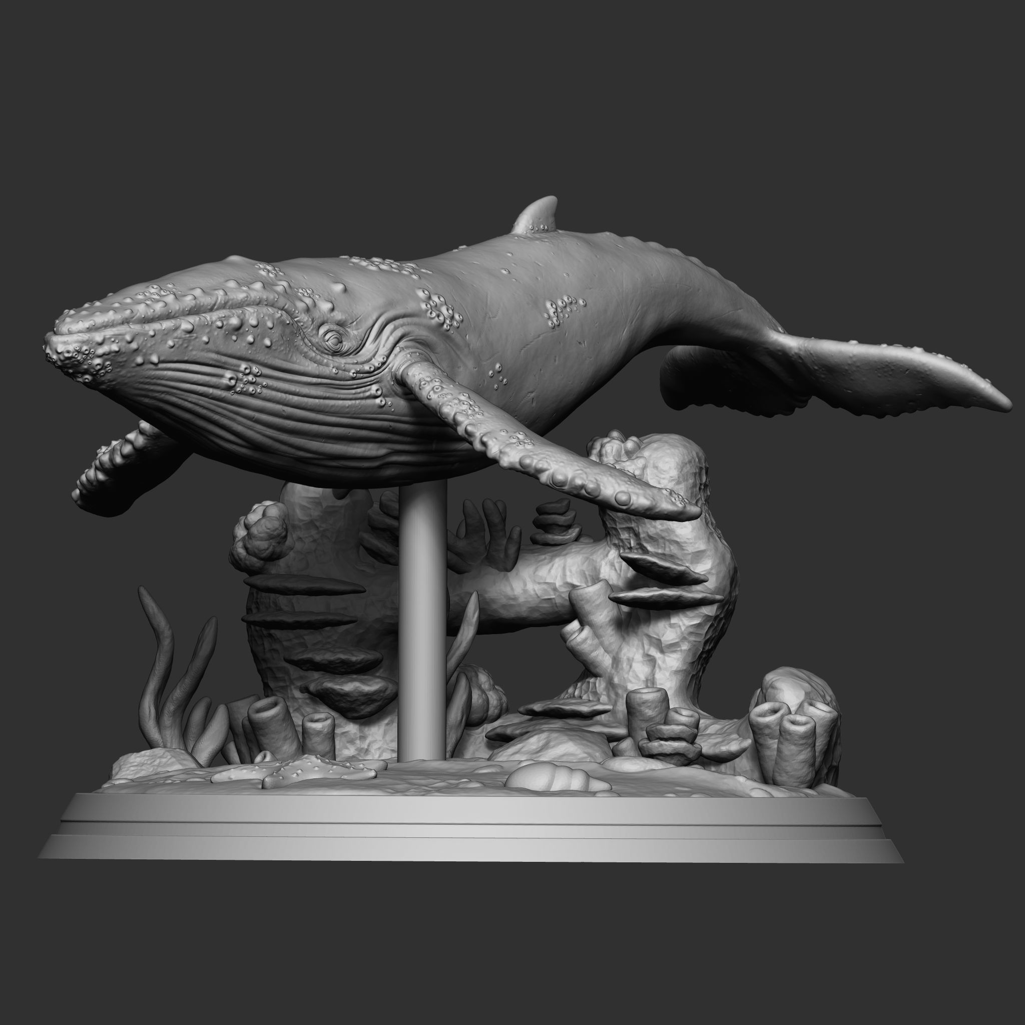 WHALE 3D print model_1