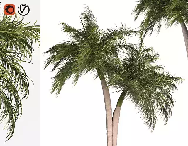 Palm Tree Set 02 3D model