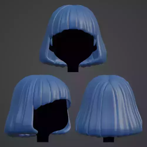 Hair style female 08