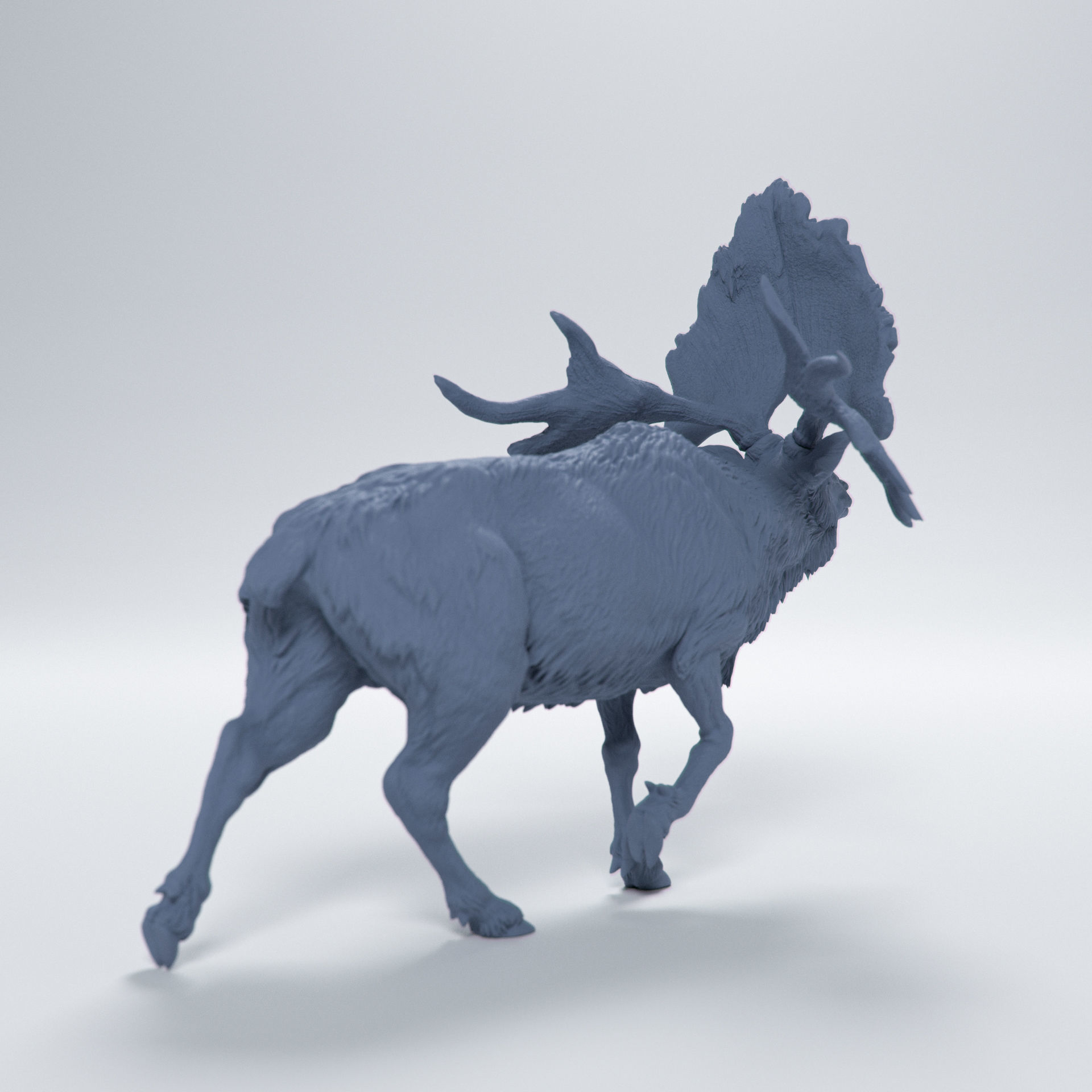 Sinomegaceros Pachyosteus 1-35 scale 3D print model_4