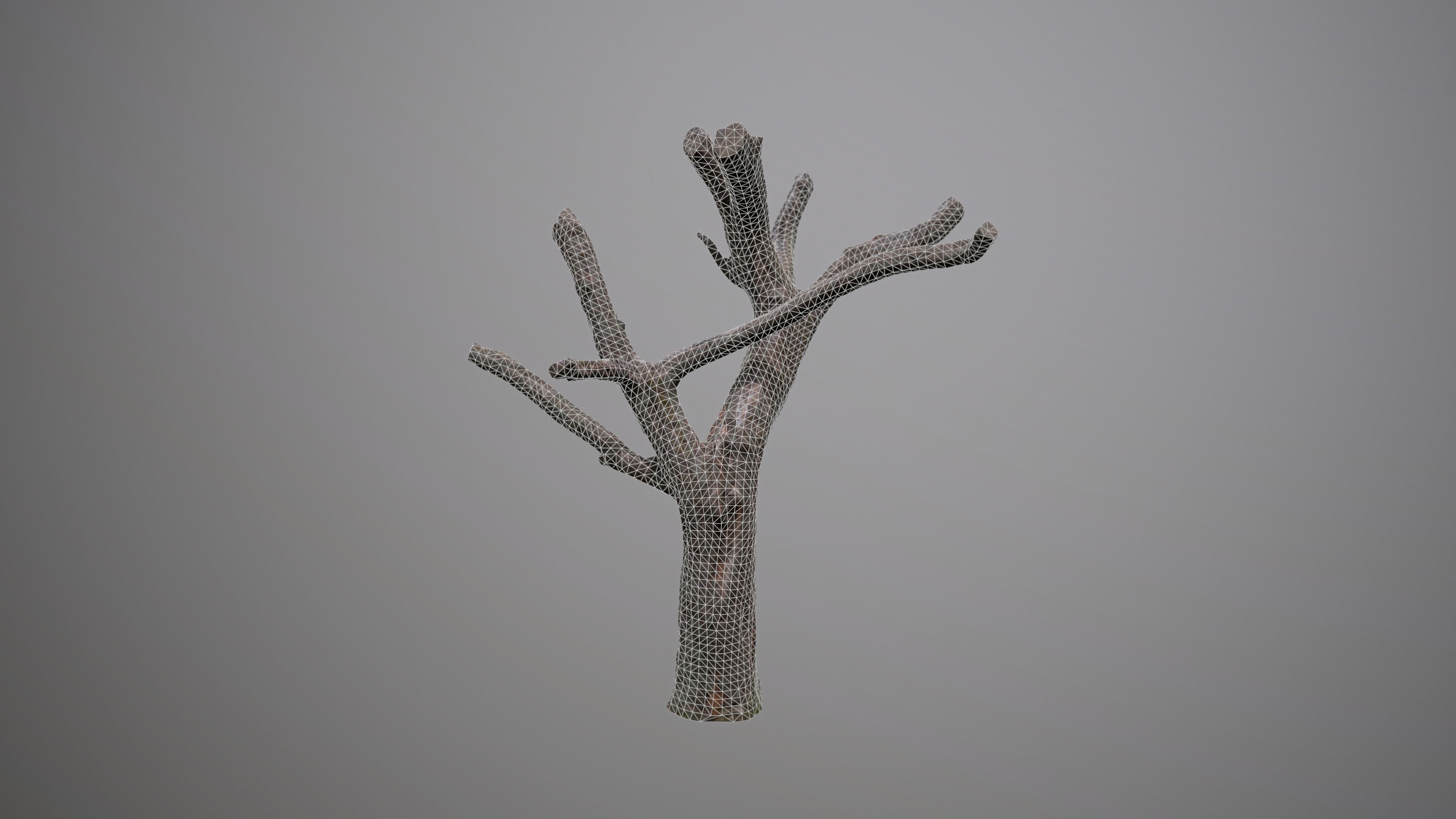 Topped Tree Low-poly 3D model_12