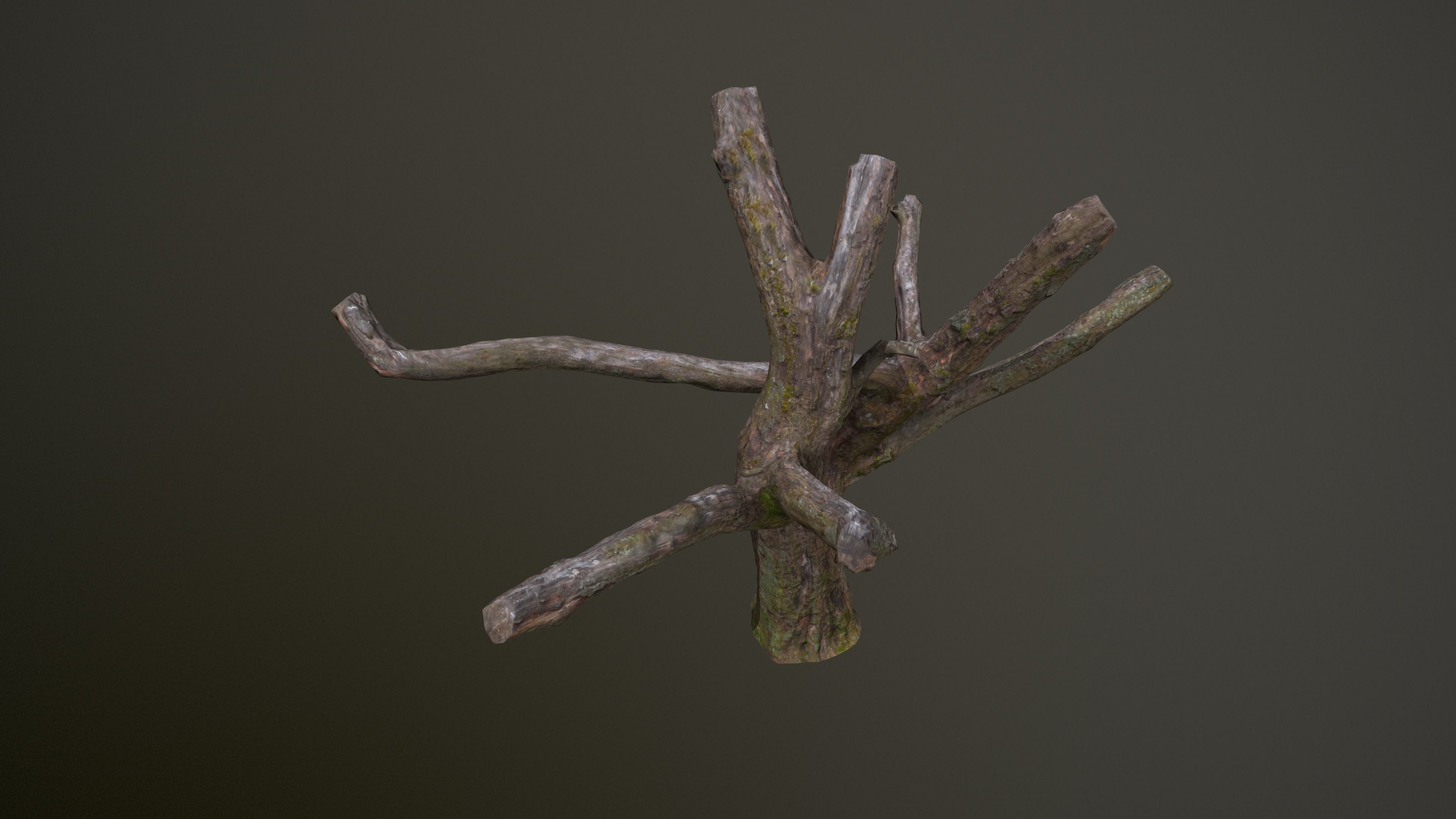 Topped Tree Low-poly 3D model_10