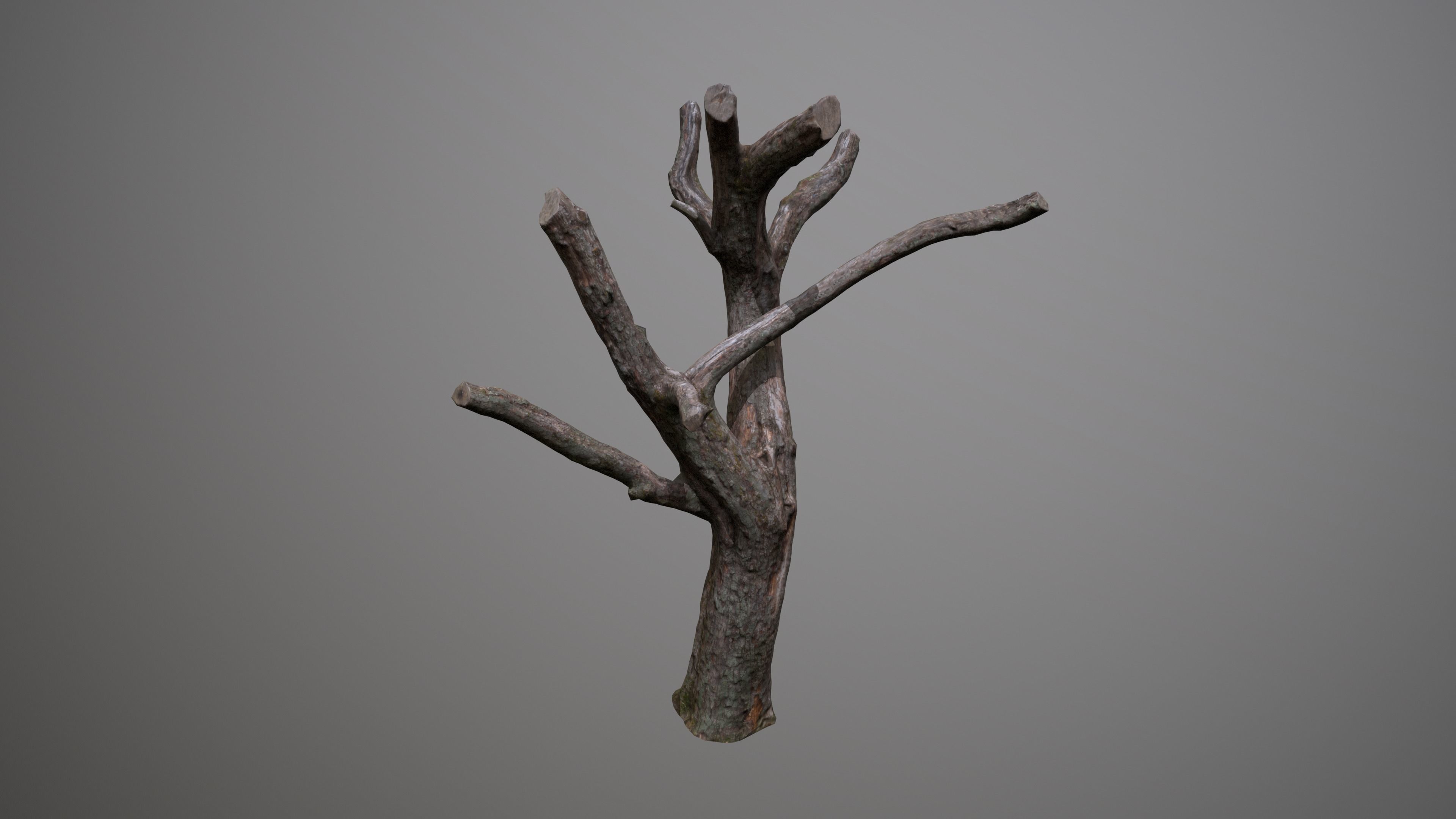 Topped Tree Low-poly 3D model_3