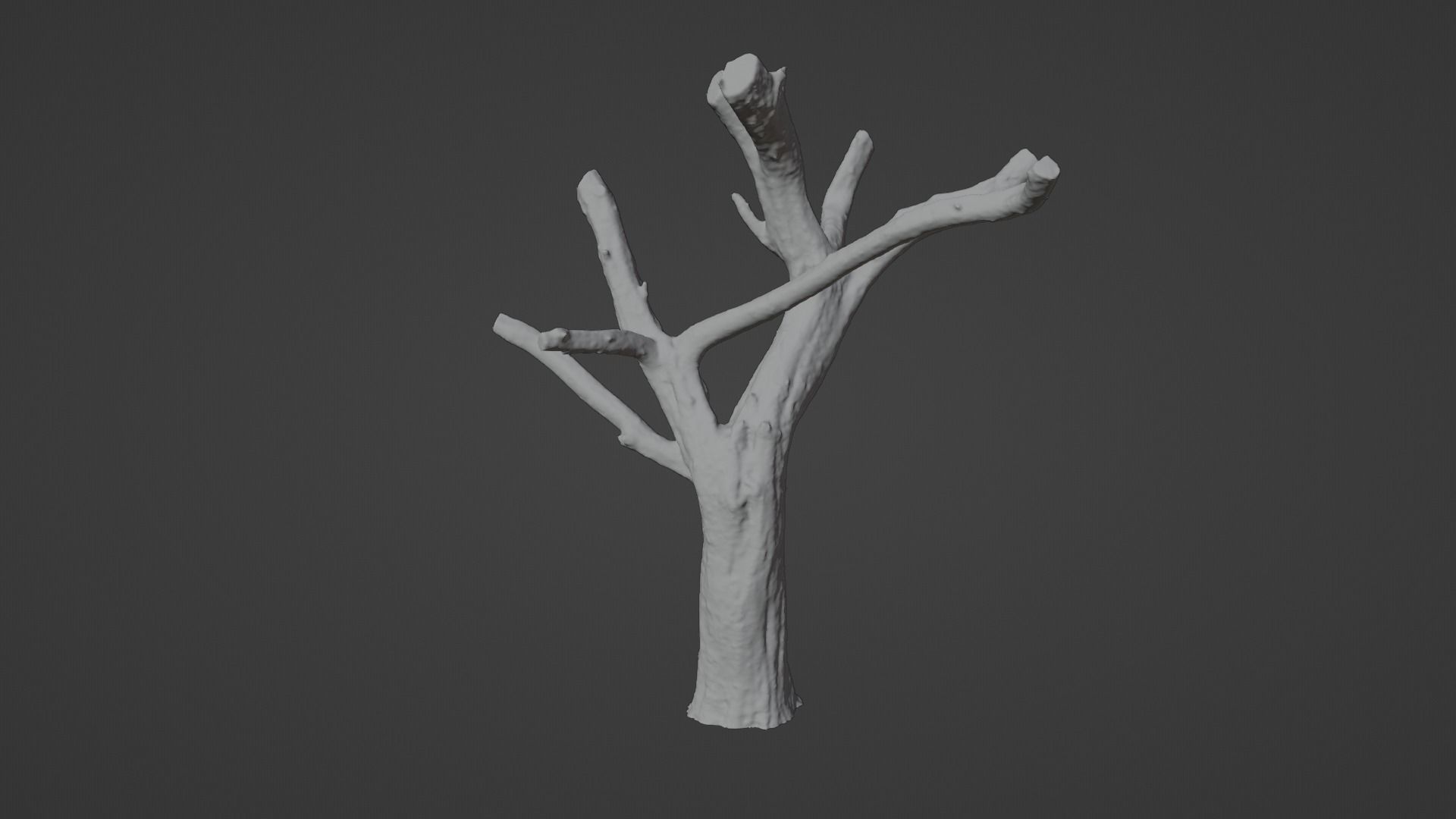 Topped Tree Low-poly 3D model_15