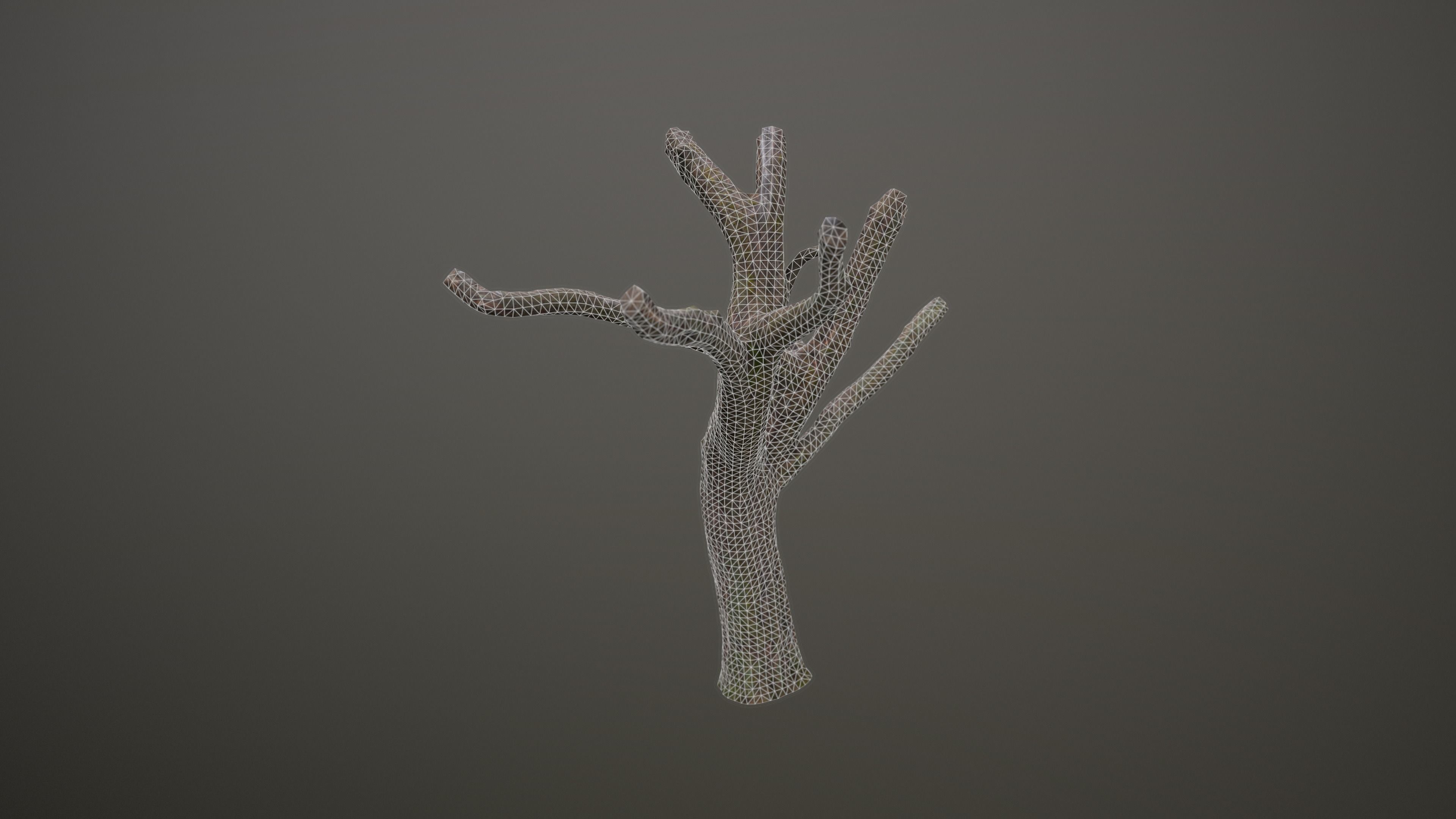 Topped Tree Low-poly 3D model_11