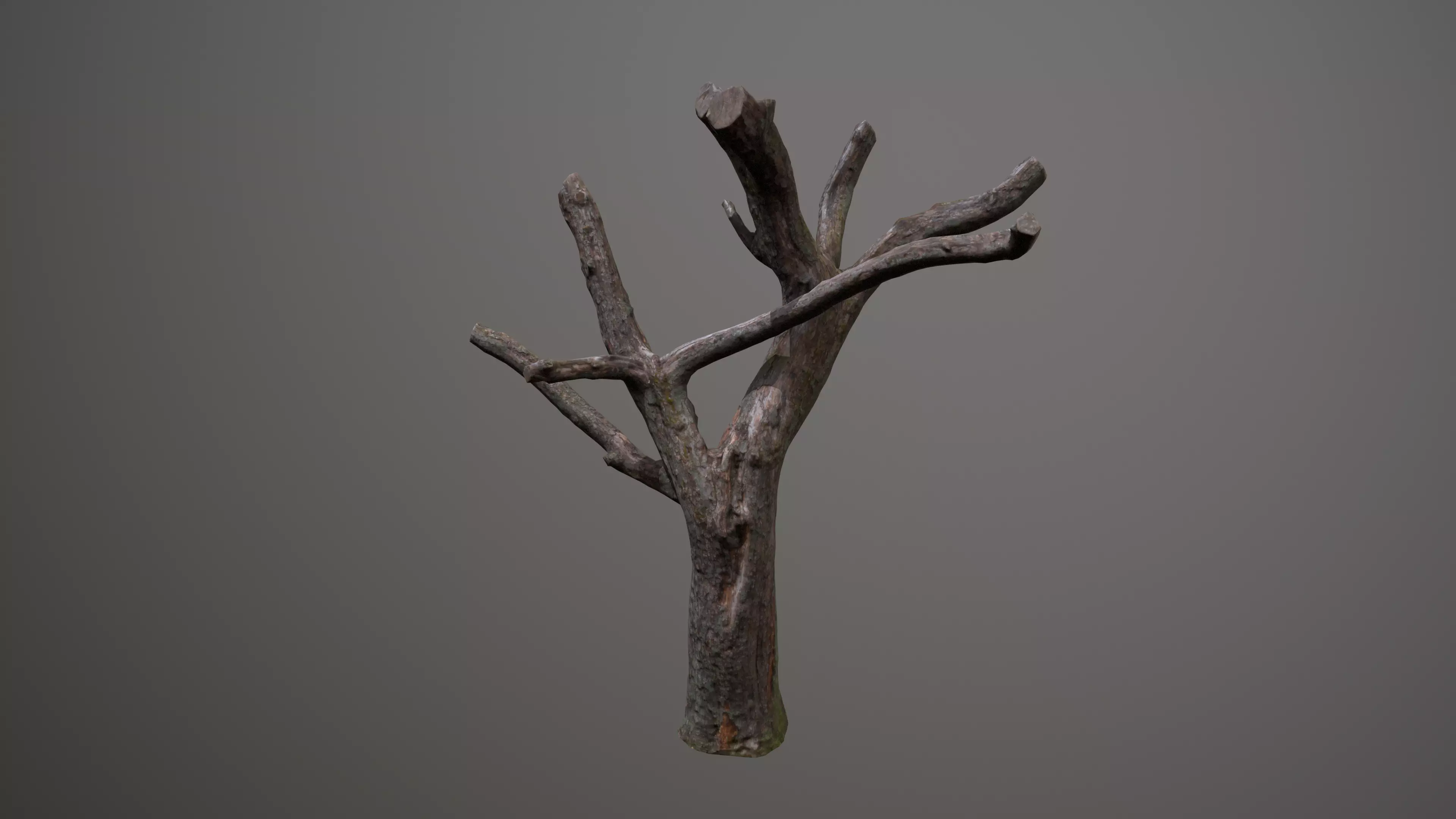 Topped Tree Low-poly 3D model_0