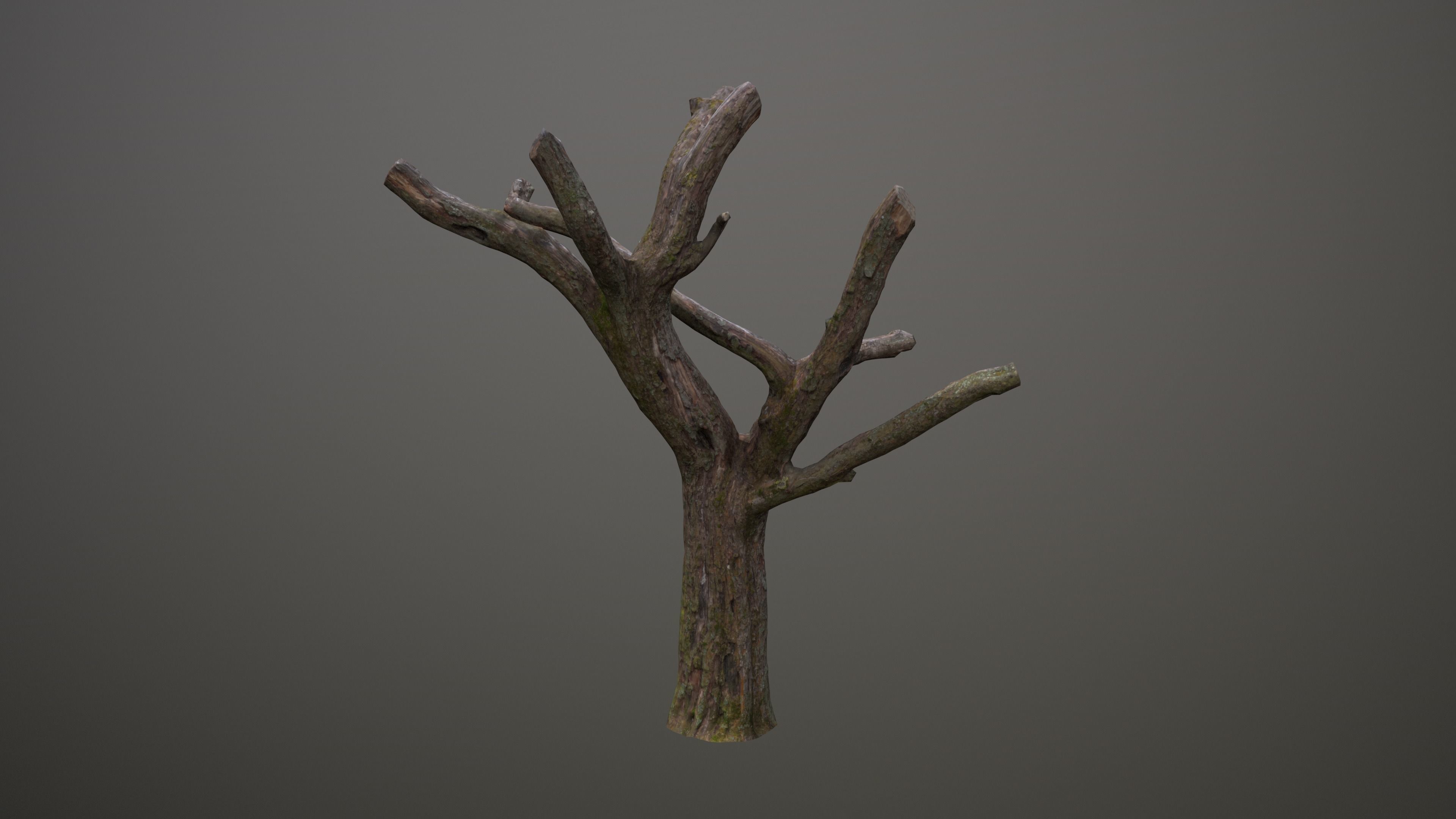 Topped Tree Low-poly 3D model_4