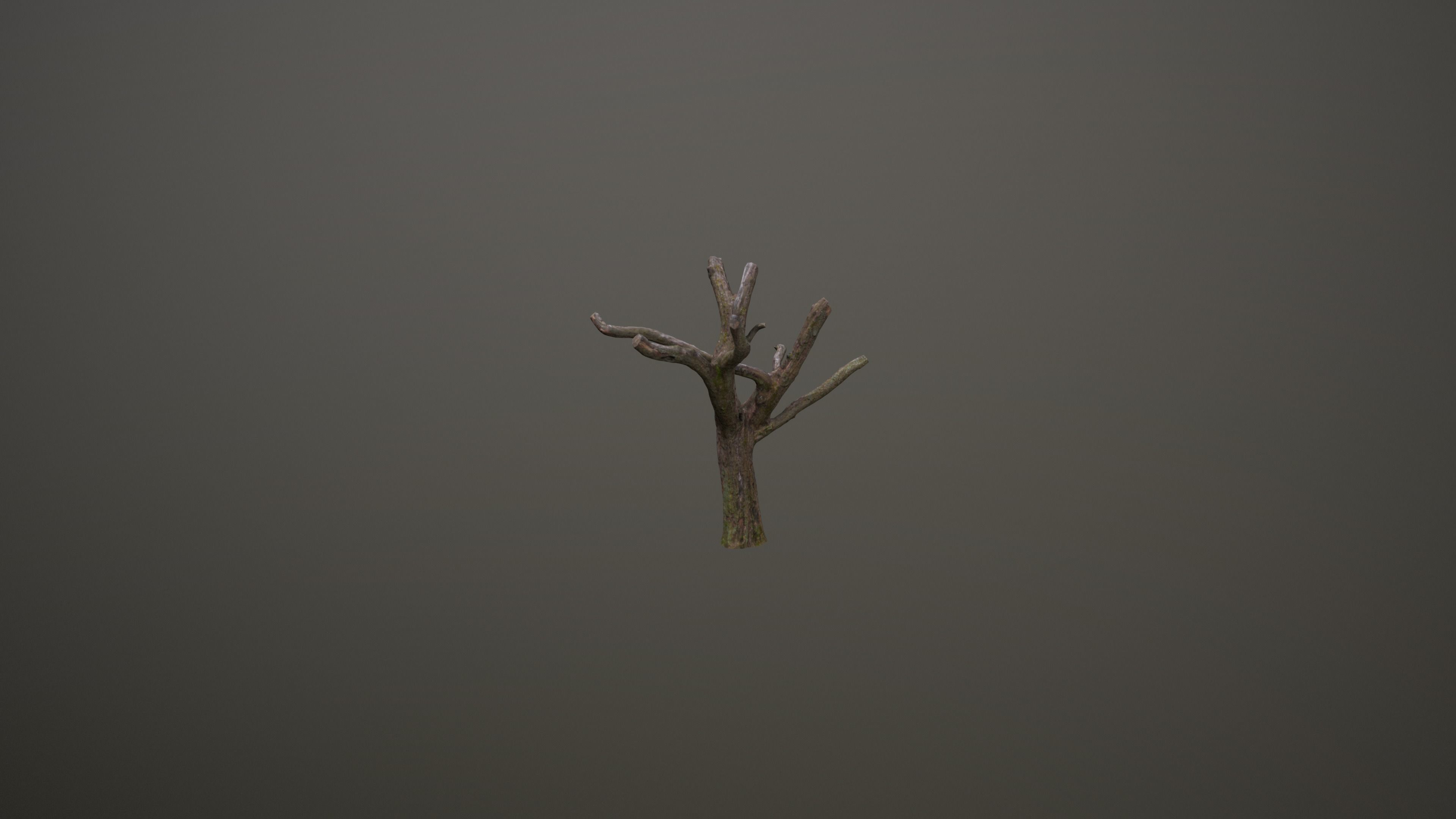 Topped Tree Low-poly 3D model_8