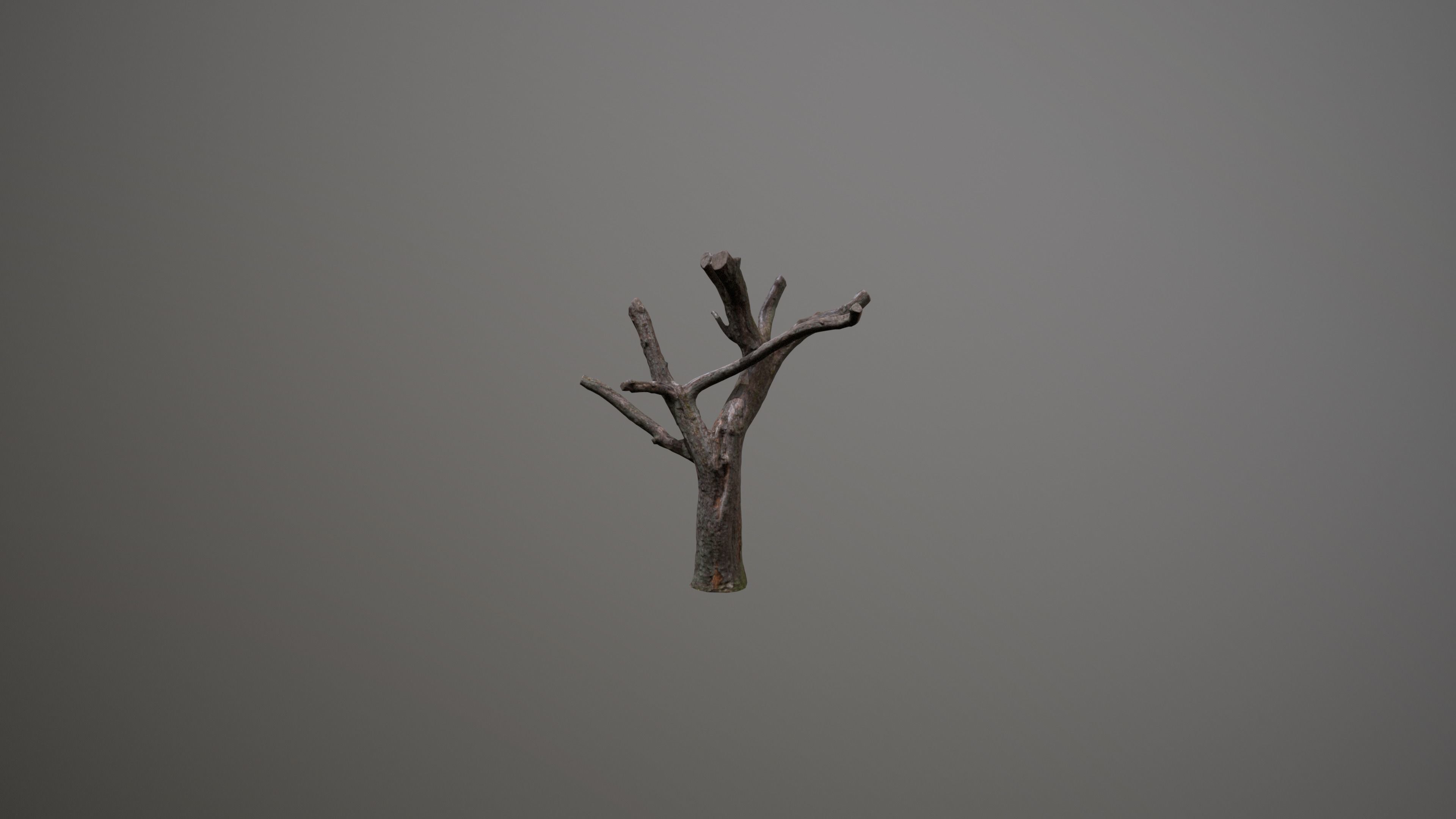 Topped Tree Low-poly 3D model_7