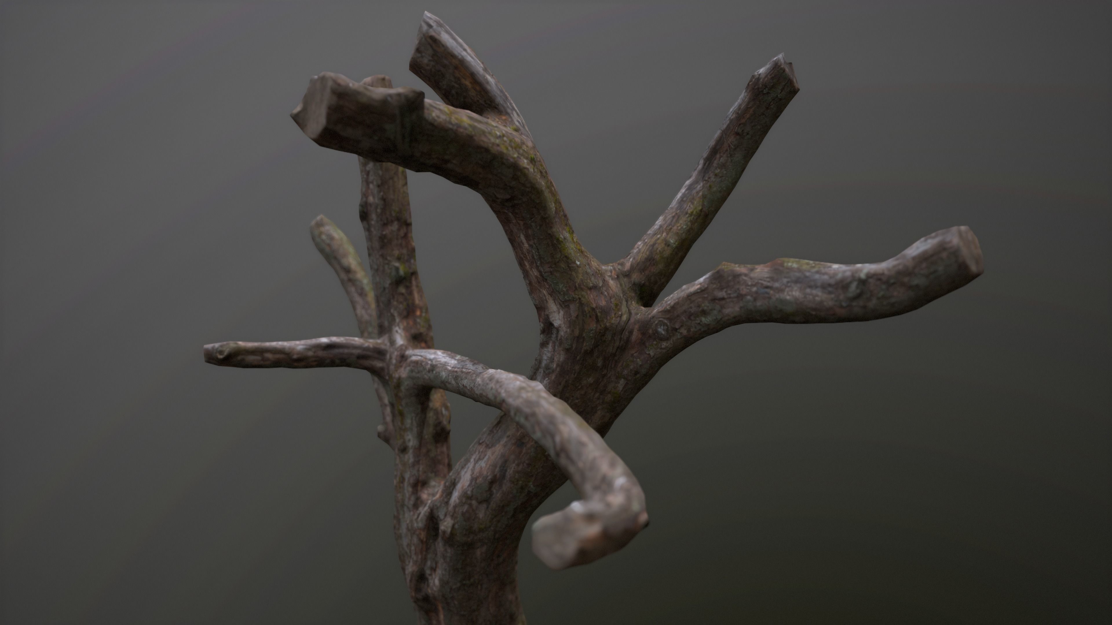 Topped Tree Low-poly 3D model_2