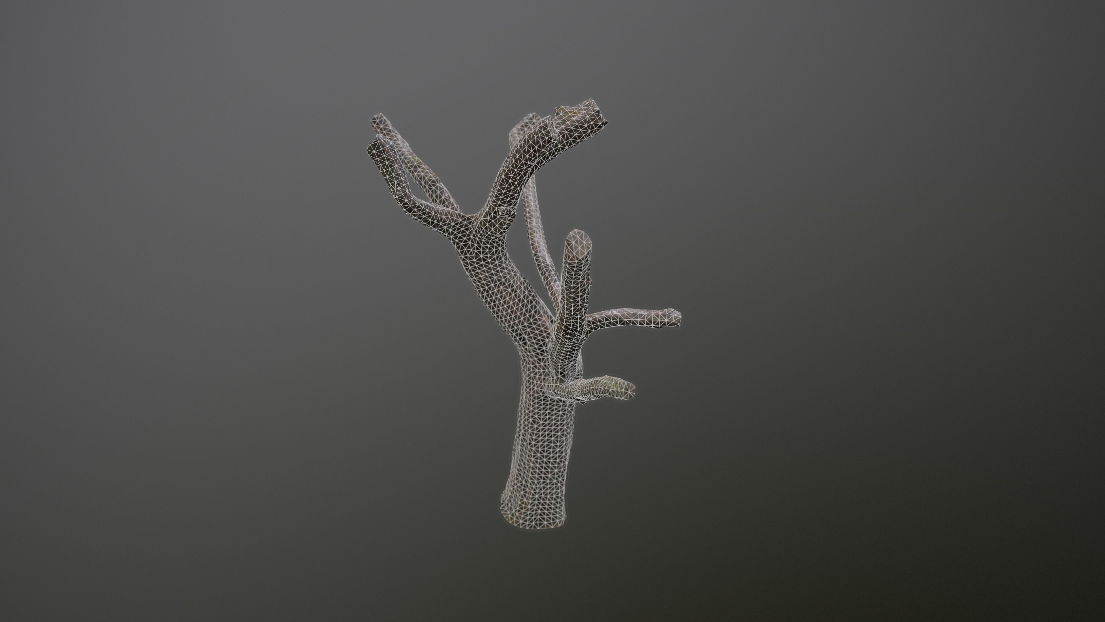 Topped Tree Low-poly 3D model_13