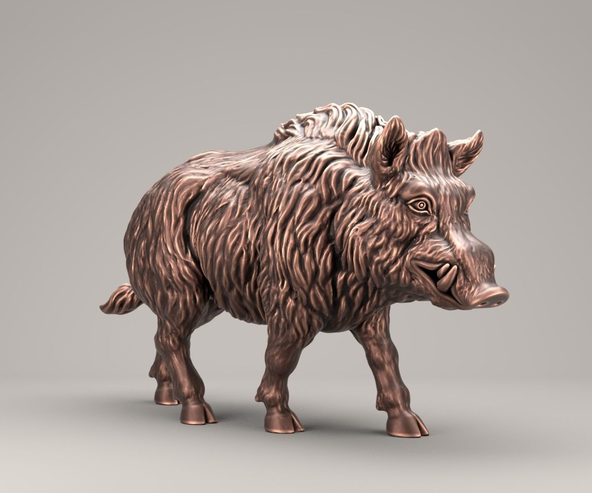 Wild Boar 3D print model_3