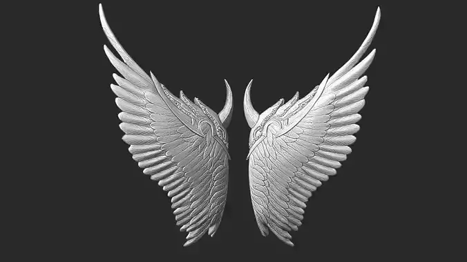 Angel Wing 