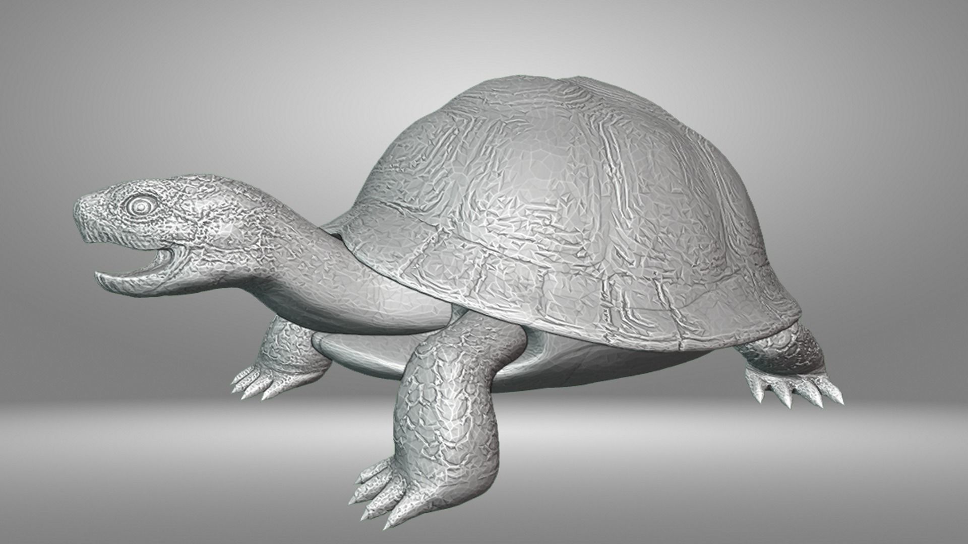 Turtle 3D print model_2