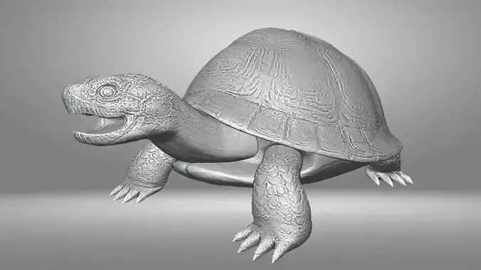 Turtle 3D print model