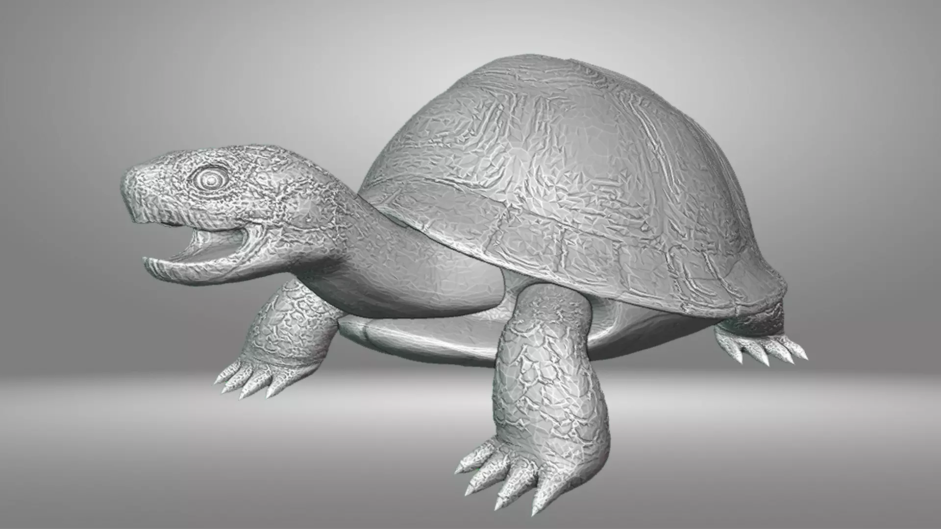 Turtle 3D print model_0