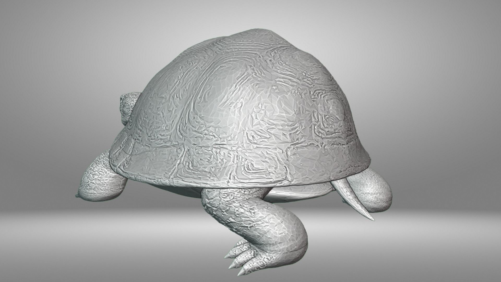 Turtle 3D print model_11