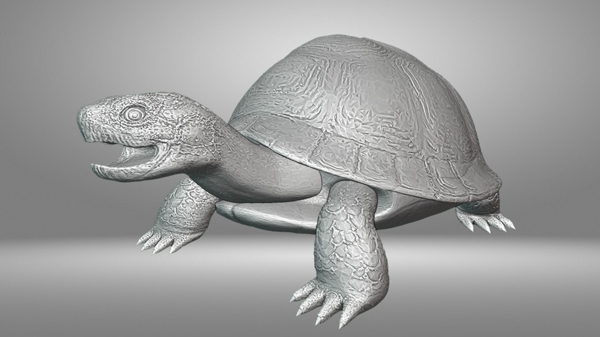 Turtle 3D print model_12
