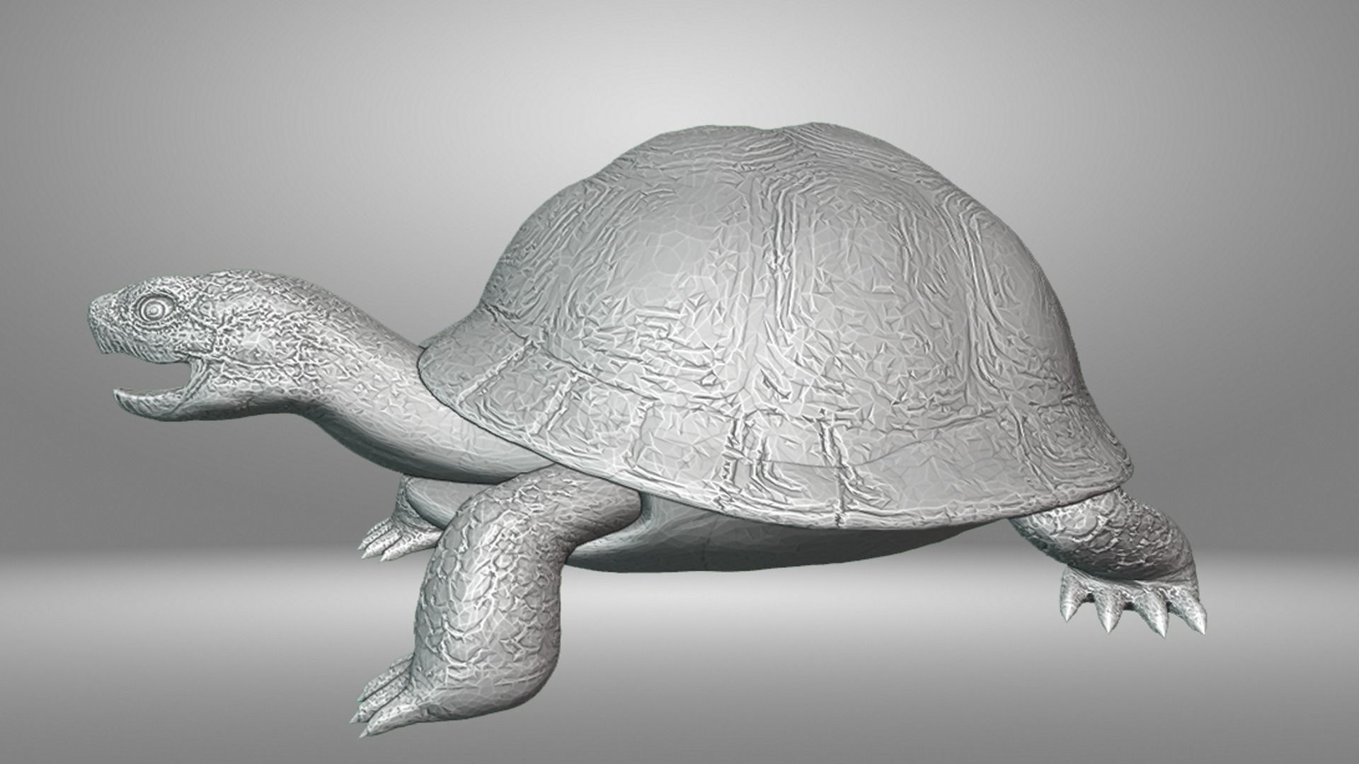 Turtle 3D print model_15