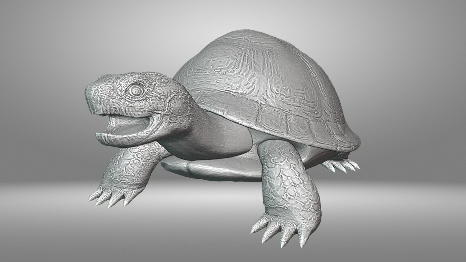 Turtle 3D print model_1