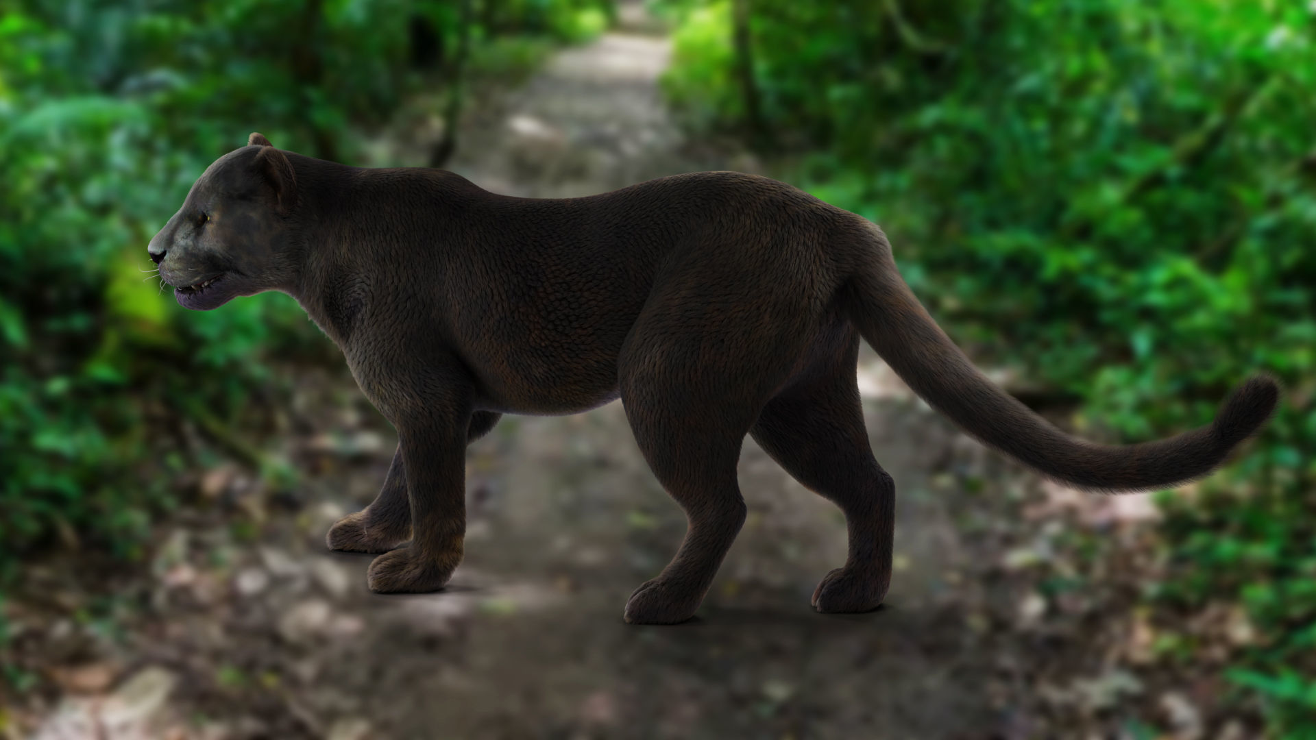 Fur Black Panther Rigged and Animation in Blender  Low-poly 3D model_5
