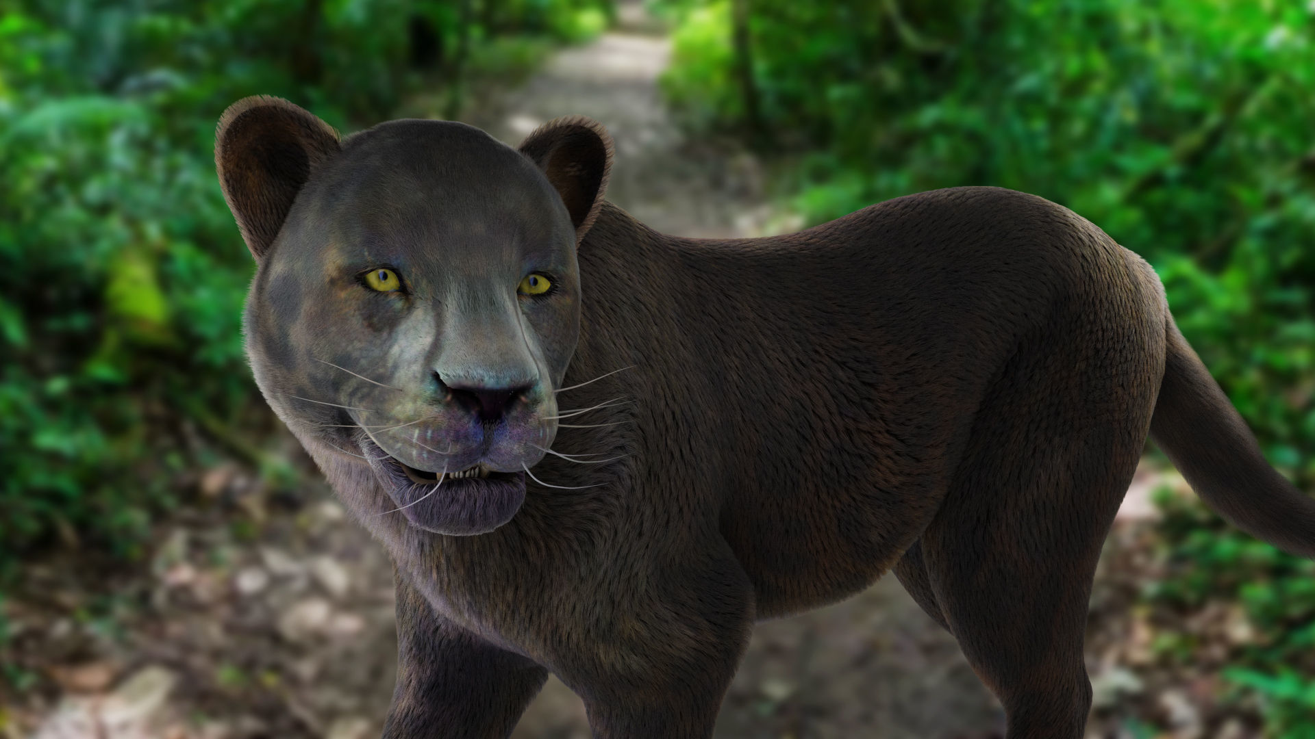 Fur Black Panther Rigged and Animation in Blender  Low-poly 3D model_11