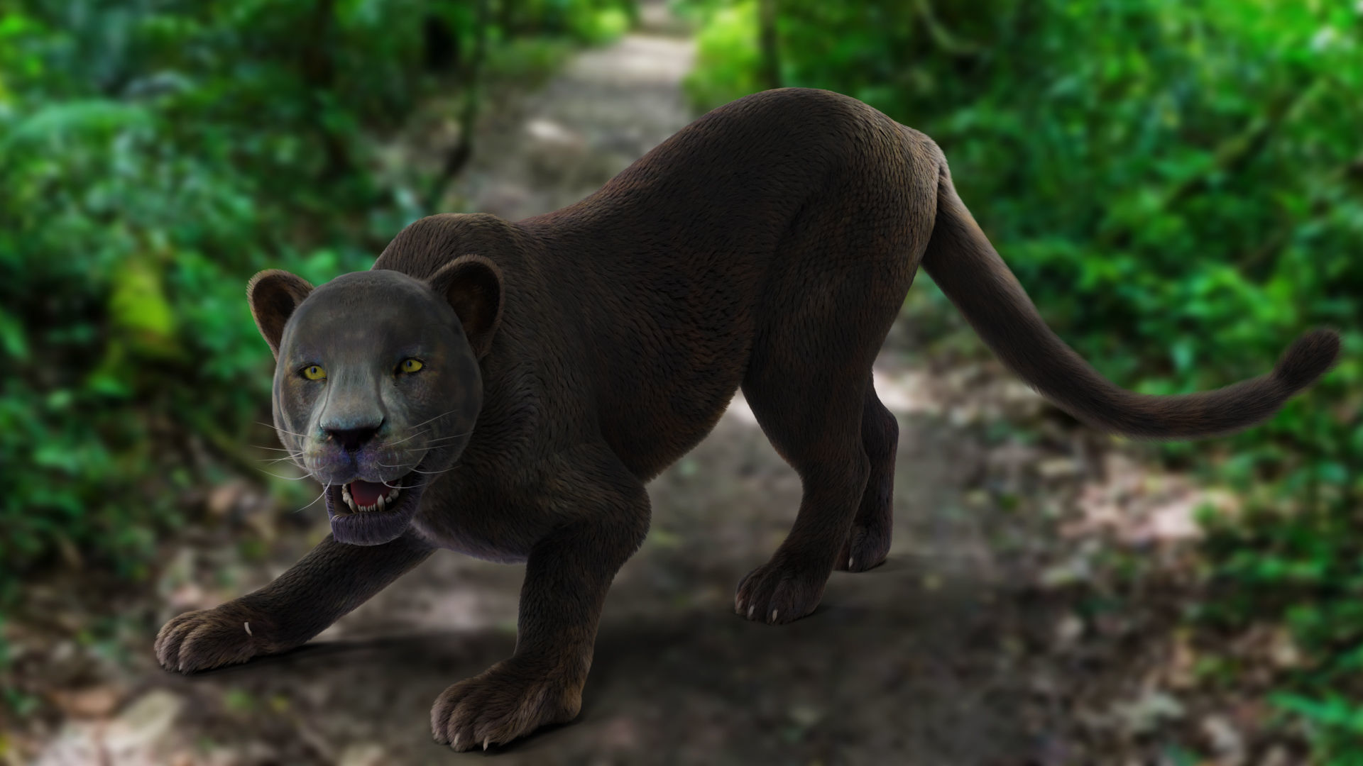 Fur Black Panther Rigged and Animation in Blender  Low-poly 3D model_10