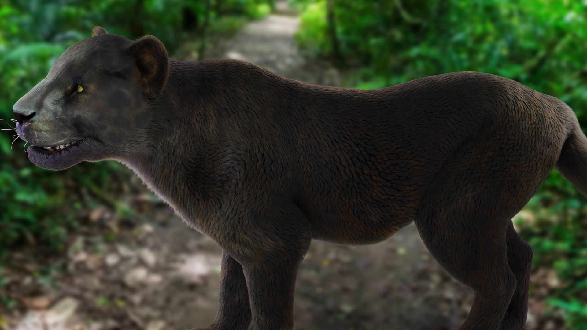 Fur Black Panther Rigged and Animation in Blender  Low-poly 3D model_12